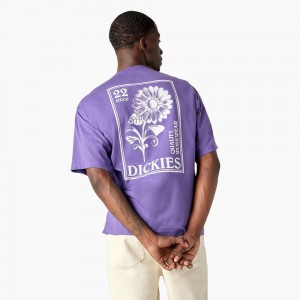 Purple Men's Dickies Garden Plain Graphic T-Shirt | GQC573128