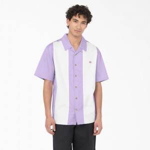 Purple Men's Dickies Westover Short Sleeve Shirt | PYI670329