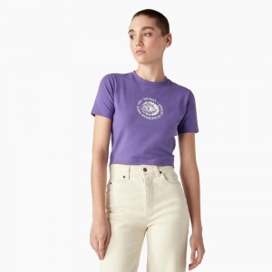 Purple Women's Dickies Garden Plain Cropped T-Shirt | ISK980165