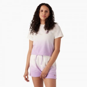 Purple Women's Dickies Ombre Cropped T-Shirt | BUV346827