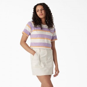 Purple Women's Dickies Striped Cropped Pocket T-Shirt | HMG810596