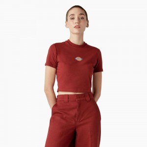 Red Women's Dickies Maple Valley Logo Cropped T-Shirt | WMB835024