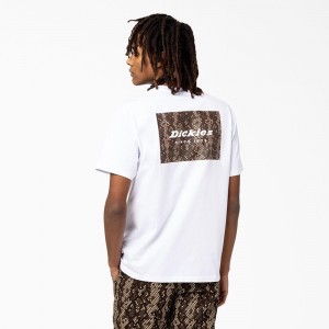 White Men's Dickies Camden Box Graphic T-Shirt | ETI356978