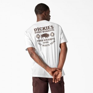 White Men's Dickies Hays Graphic T-Shirt | DYK253679