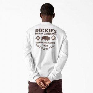 White Men's Dickies Hays Long Sleeve Graphic T-Shirt | LCU184607