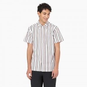 White Men's Dickies Skateboarding Cooling Relaxed Fit Shirt | FTZ486935