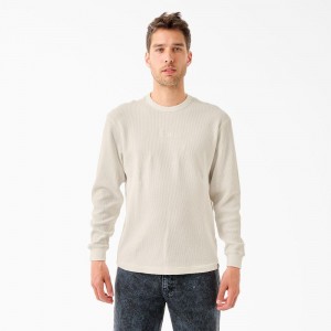 White Men's Dickies Tom Knox Thermal Shirt | BIZ210974