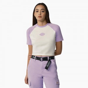 White Women's Dickies Sodaville Cropped T-Shirt | EAS708459