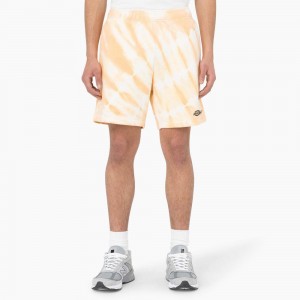 Yellow Men's Dickies Westfir Relaxed Fit Shorts | XKU041759