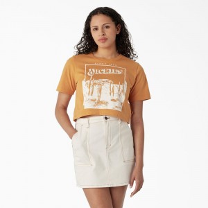 Yellow Women's Dickies Desert Graphic Cropped T-Shirt | TOP086425