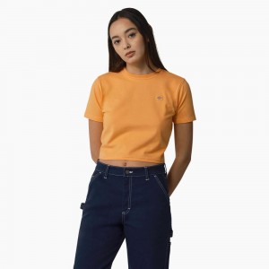 Yellow Women's Dickies Maple Valley Cropped T-Shirt | MFR907423