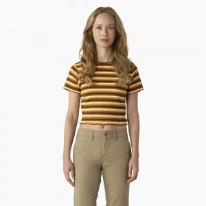 Yellow Women's Dickies Striped Cropped Baby T-Shirt | ROM647325