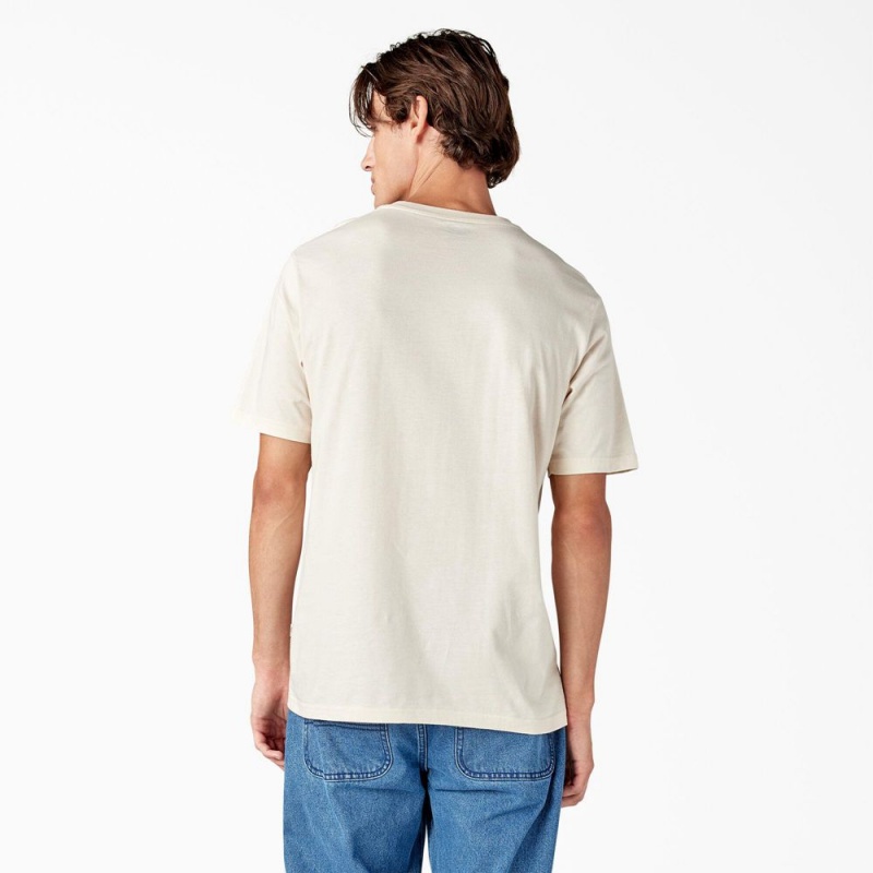 Beige Men's Dickies Mapleton Short Sleeve T-Shirt | RVA847360