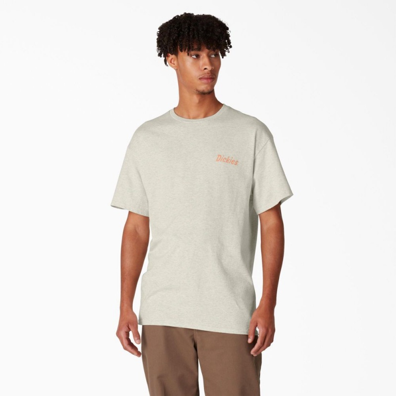 Beige Men's Dickies Skateboarding Split Graphic T-Shirt | WSA295640