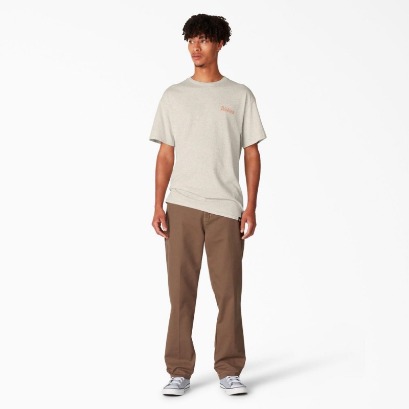 Beige Men's Dickies Skateboarding Split Graphic T-Shirt | WSA295640