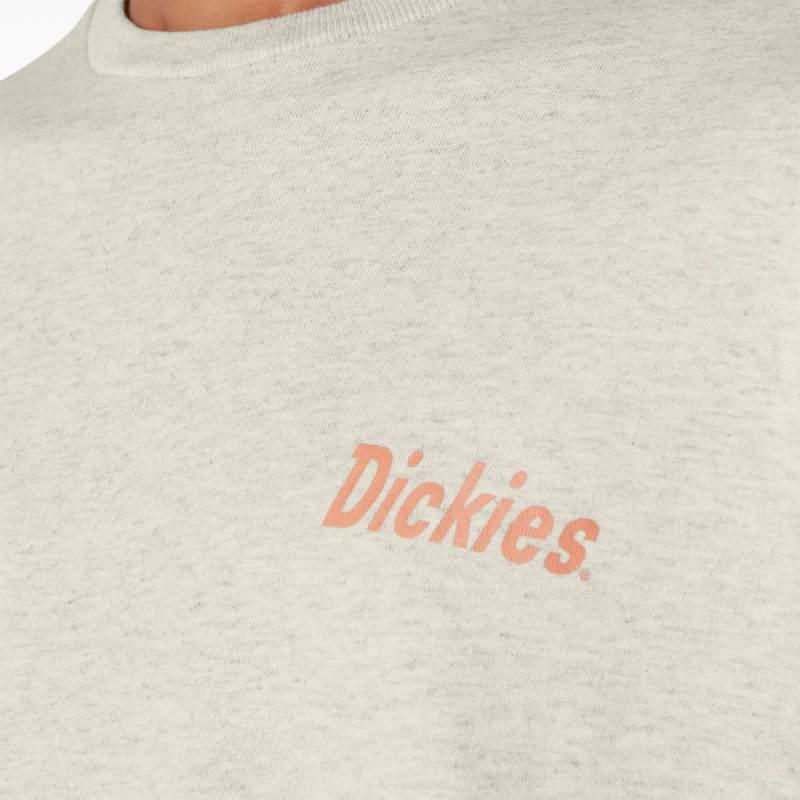 Beige Men's Dickies Skateboarding Split Graphic T-Shirt | WSA295640