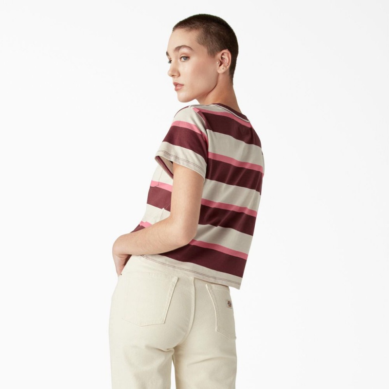 Beige Women's Dickies Large Striped Cropped Pocket T-Shirt | TWX142873