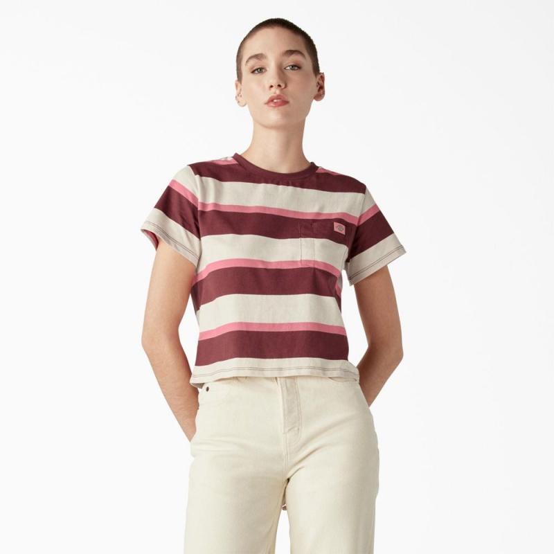 Beige Women\'s Dickies Large Striped Cropped Pocket T-Shirt | TWX142873