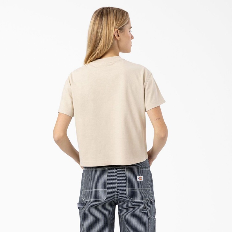 Beige Women's Dickies Loretto Cropped T-Shirt | HXC680173