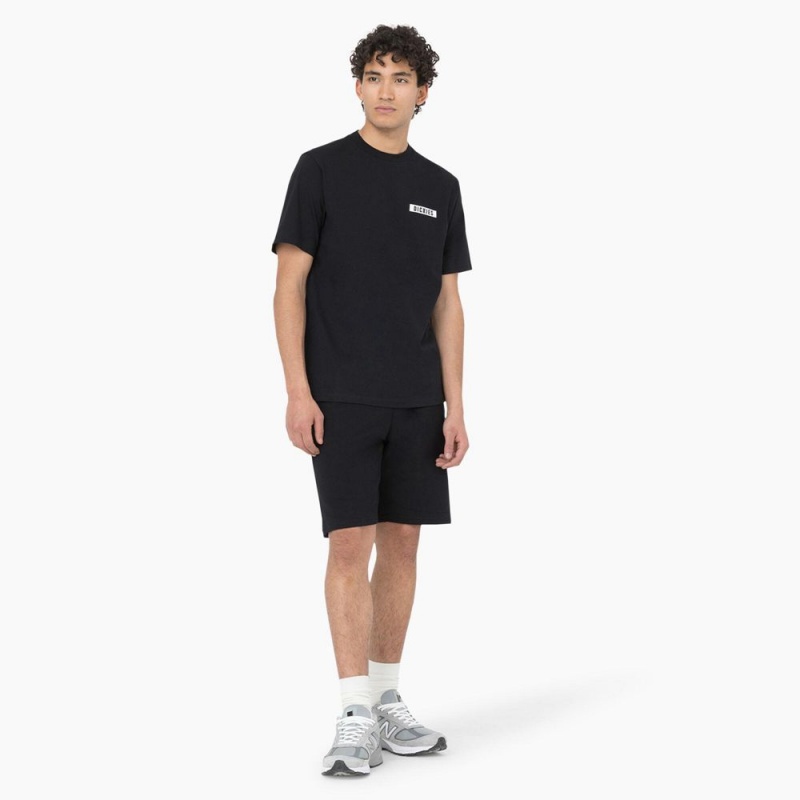 Black Men's Dickies Baker City Short Sleeve T-Shirt | NDM645839