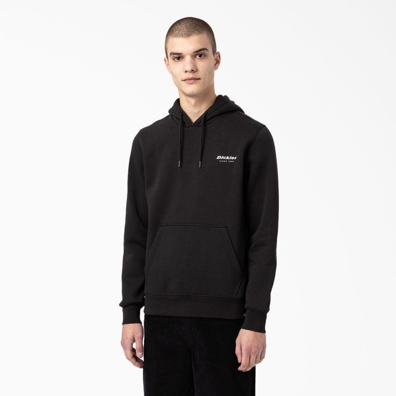 Black Men's Dickies Camden Box Graphic Hoodie | GOH720134