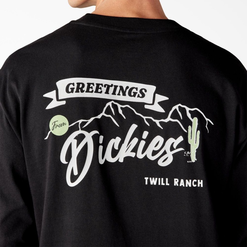 Black Men's Dickies Dighton Long Sleeve Graphic T-Shirt | DAI861402