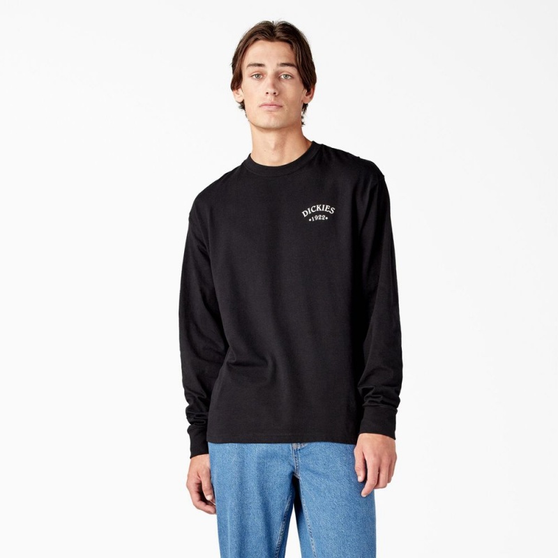 Black Men's Dickies Garden Plain Graphic Long Sleeve T-Shirt | AZS157248