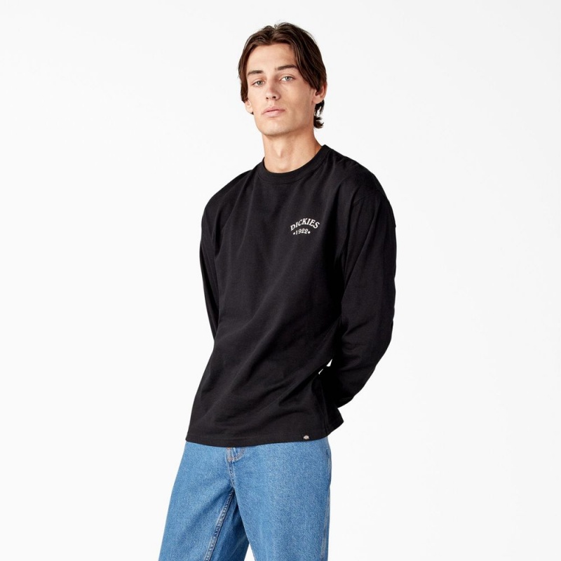 Black Men's Dickies Garden Plain Graphic Long Sleeve T-Shirt | AZS157248