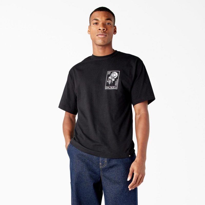 Black Men's Dickies Garden Plain Graphic T-Shirt | SEV320965