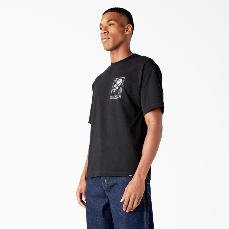 Black Men's Dickies Garden Plain Graphic T-Shirt | SEV320965