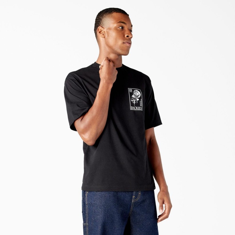 Black Men's Dickies Garden Plain Graphic T-Shirt | SEV320965