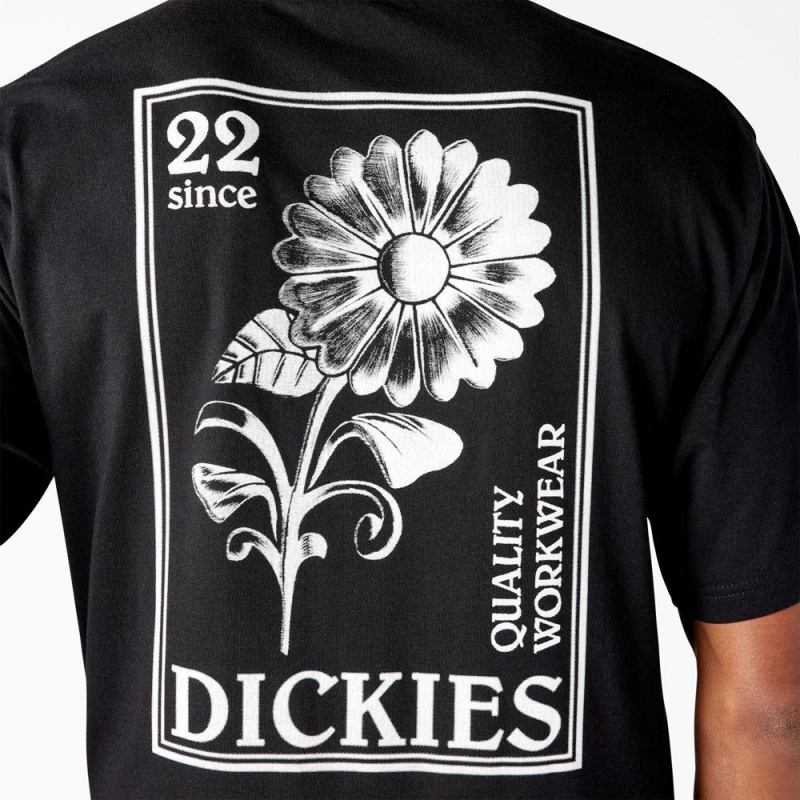 Black Men's Dickies Garden Plain Graphic T-Shirt | SEV320965