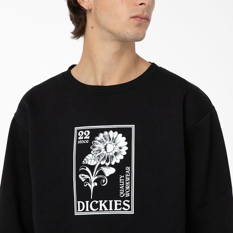 Black Men's Dickies Garden Plain Graphic Sweatshirt | VJT370542