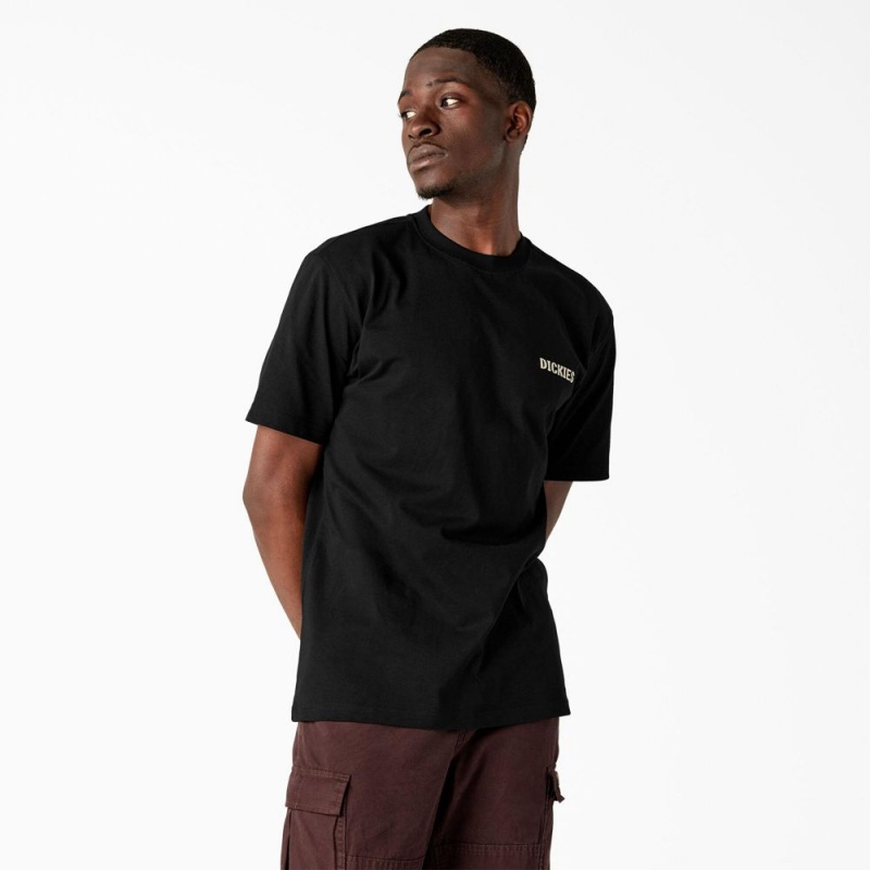 Black Men's Dickies Hays Graphic T-Shirt | PXZ395481