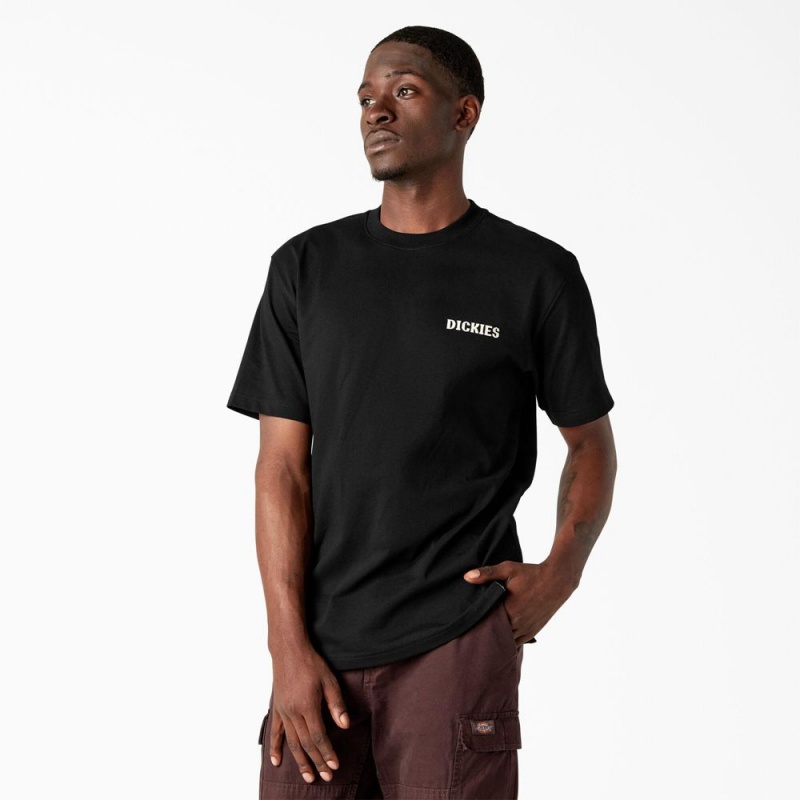 Black Men's Dickies Hays Graphic T-Shirt | PXZ395481