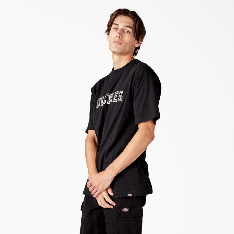 Black Men's Dickies Melvern Graphic T-Shirt | JBW986574