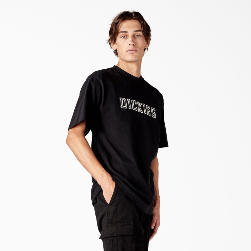 Black Men's Dickies Melvern Graphic T-Shirt | JBW986574