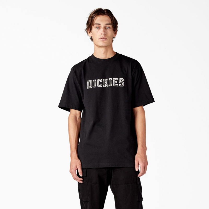 Black Men\'s Dickies Melvern Graphic T-Shirt | JBW986574