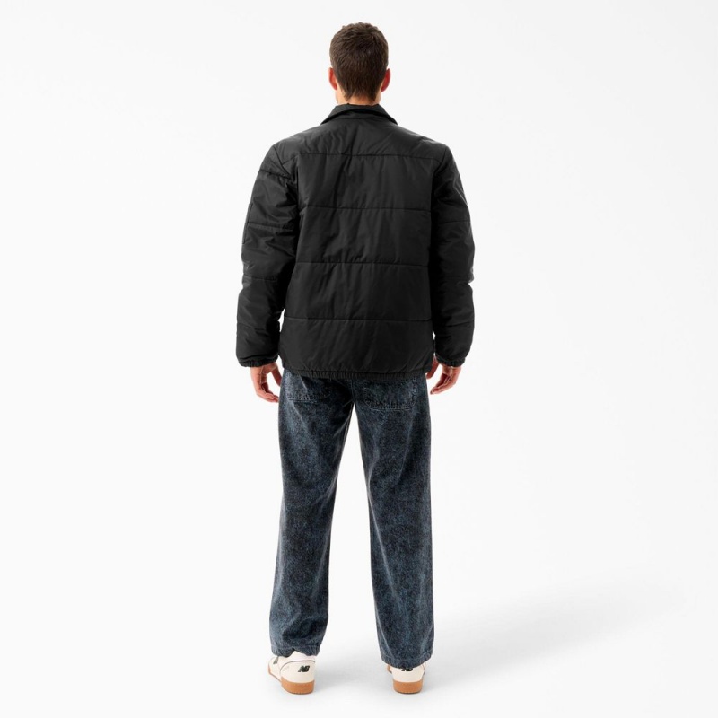 Black Men's Dickies Tom Knox Puffer Jacket | NID482795