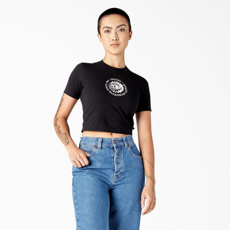 Black Women\'s Dickies Garden Plain Cropped T-Shirt | AFD210684