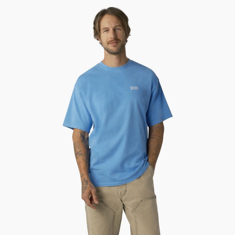 Blue Men\'s Dickies Bandon Short Sleeve T-Shirt | IHT736124