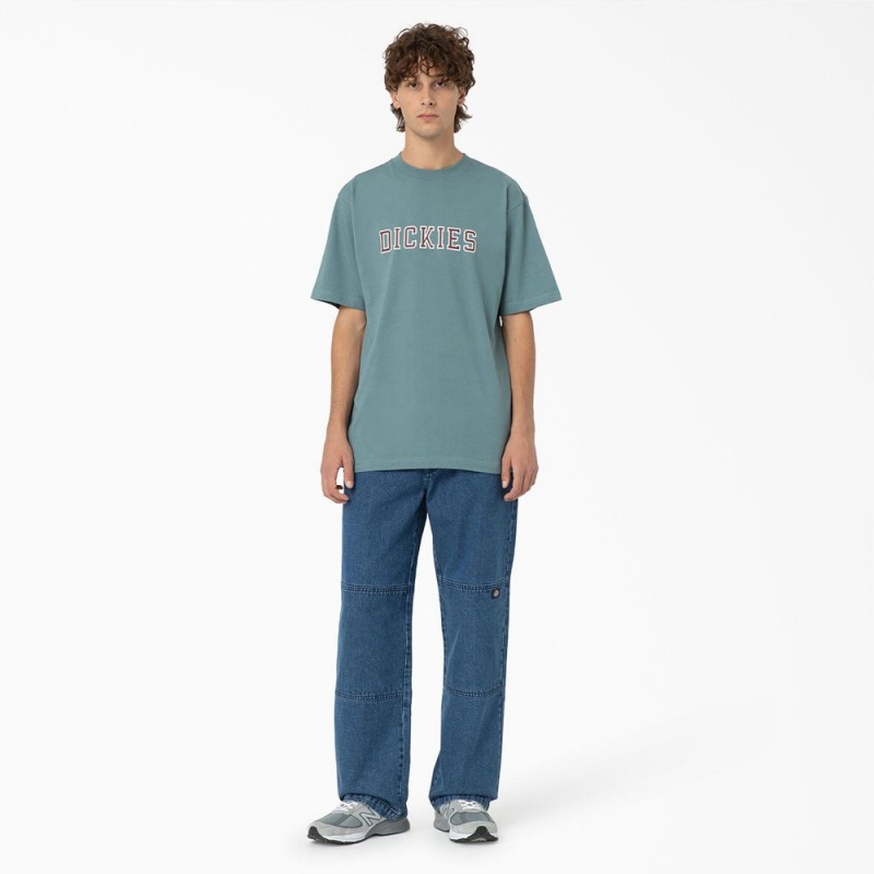 Blue Men's Dickies Melvern Graphic T-Shirt | OGR406139