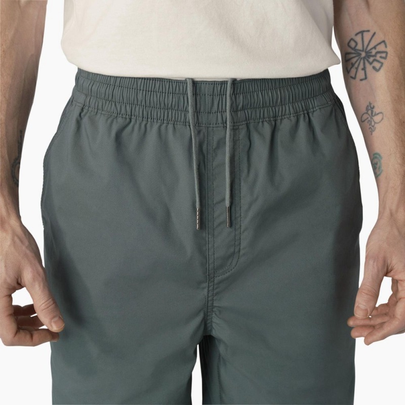 Blue Men's Dickies Skateboarding Grants Pass Relaxed Fit Shorts | JXZ867342