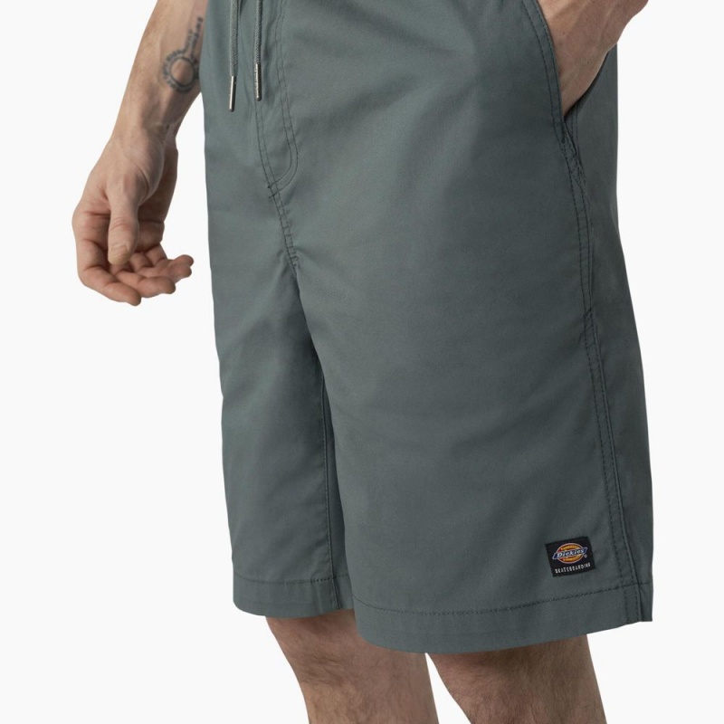 Blue Men's Dickies Skateboarding Grants Pass Relaxed Fit Shorts | JXZ867342