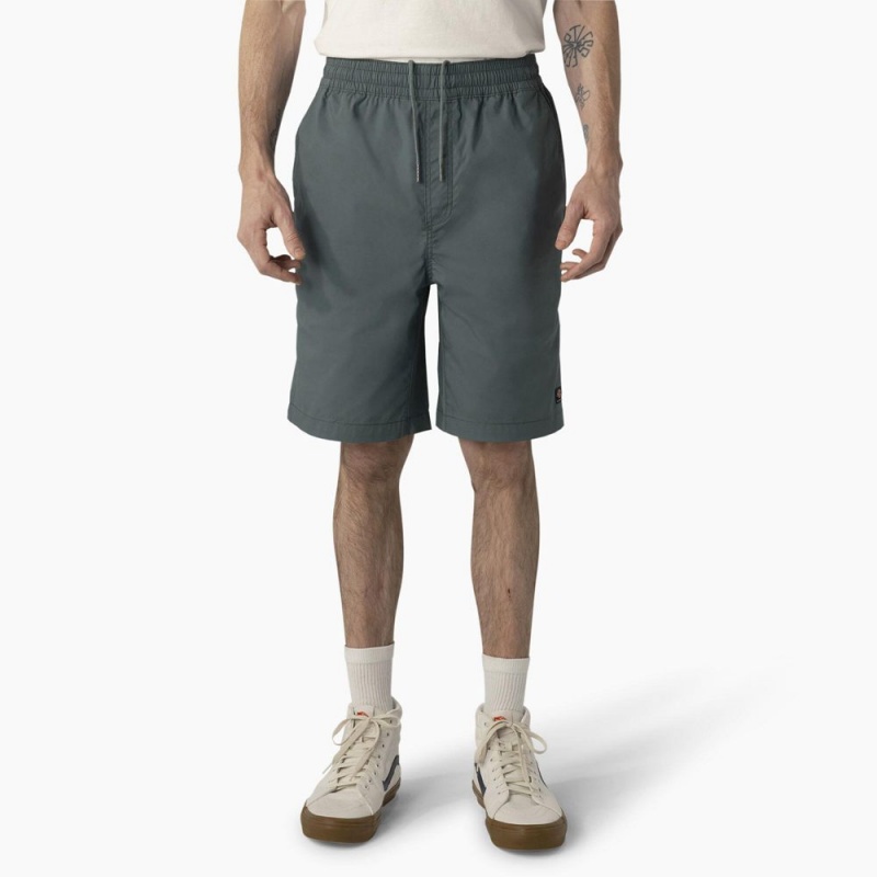 Blue Men\'s Dickies Skateboarding Grants Pass Relaxed Fit Shorts | JXZ867342