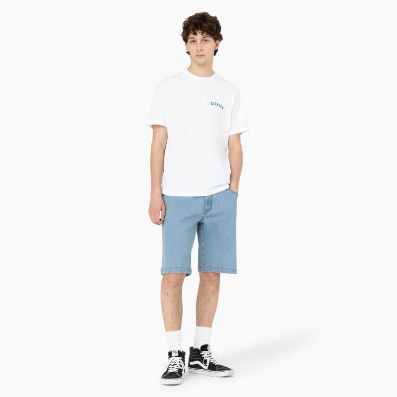 Blue Men's Dickies Skateboarding Loose Fit Wingville Shorts | ZMP289507