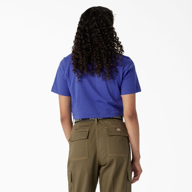 Blue Women's Dickies Desert Graphic Cropped T-Shirt | FNT298634