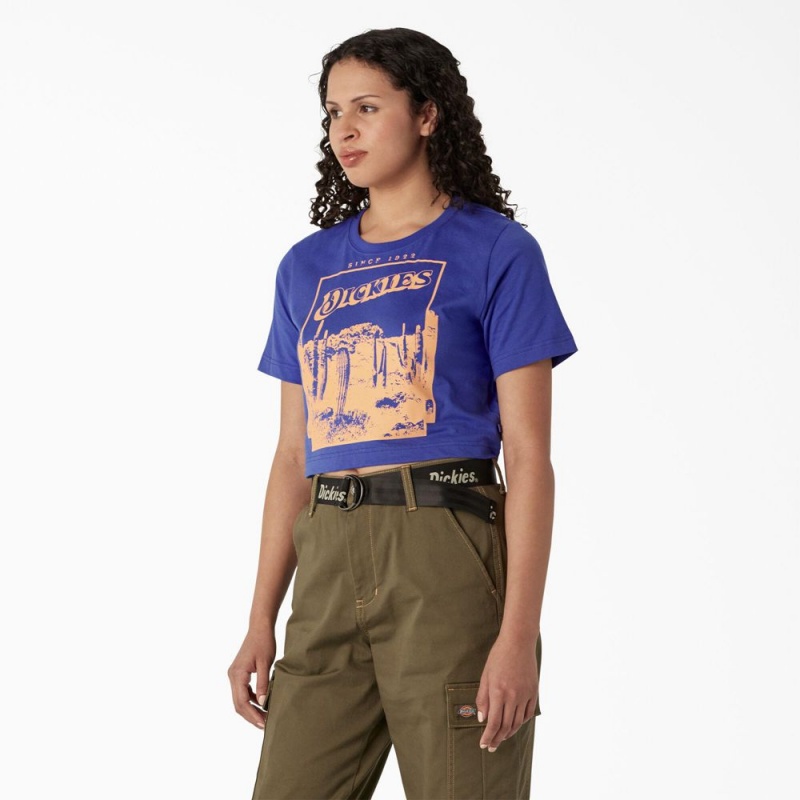 Blue Women's Dickies Desert Graphic Cropped T-Shirt | FNT298634