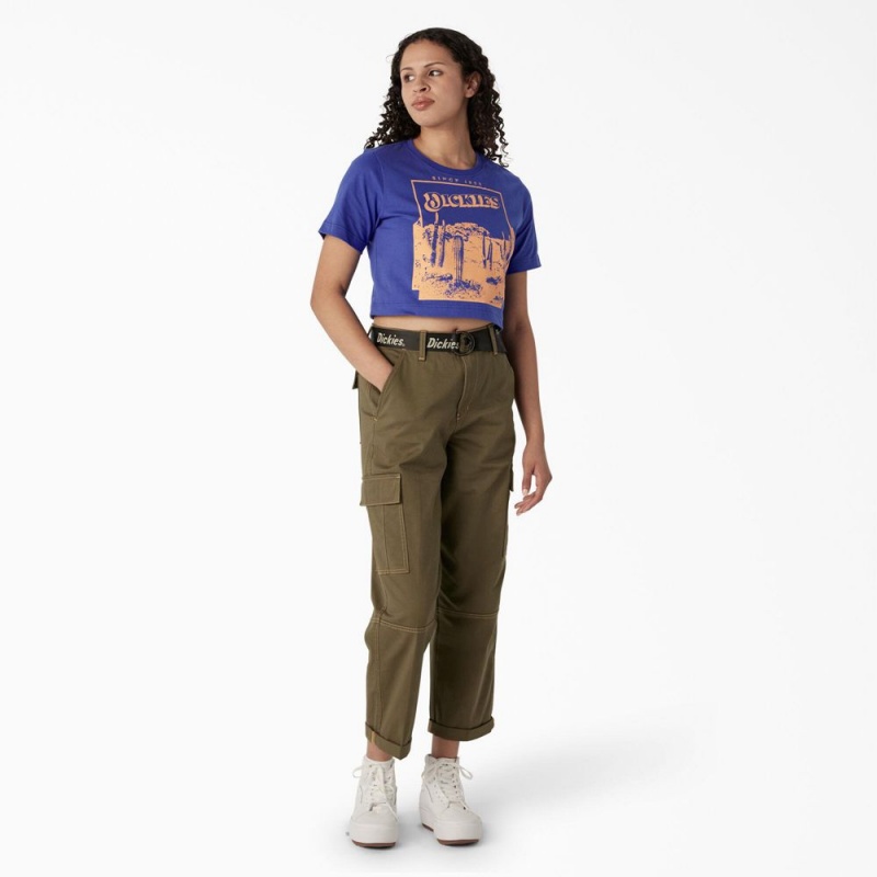 Blue Women's Dickies Desert Graphic Cropped T-Shirt | FNT298634