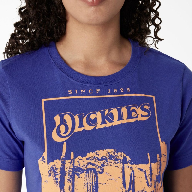 Blue Women's Dickies Desert Graphic Cropped T-Shirt | FNT298634